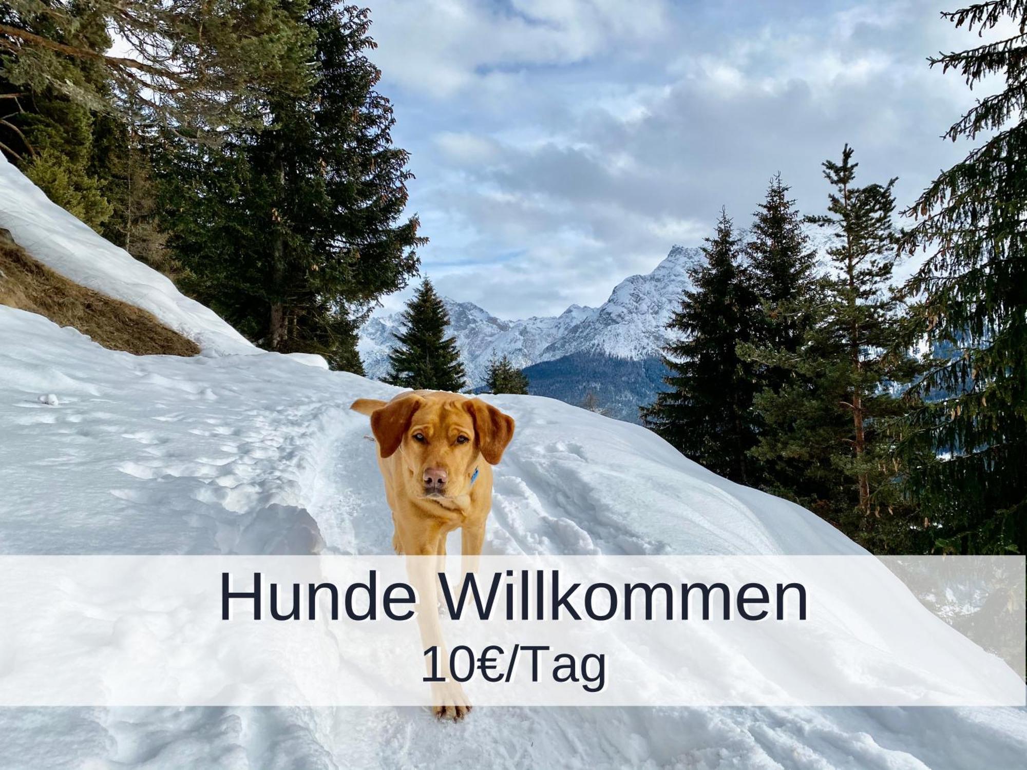 Ferienwohnung Rambold Sonnenterrasse Garmisch-Partenkirchen Exterior foto